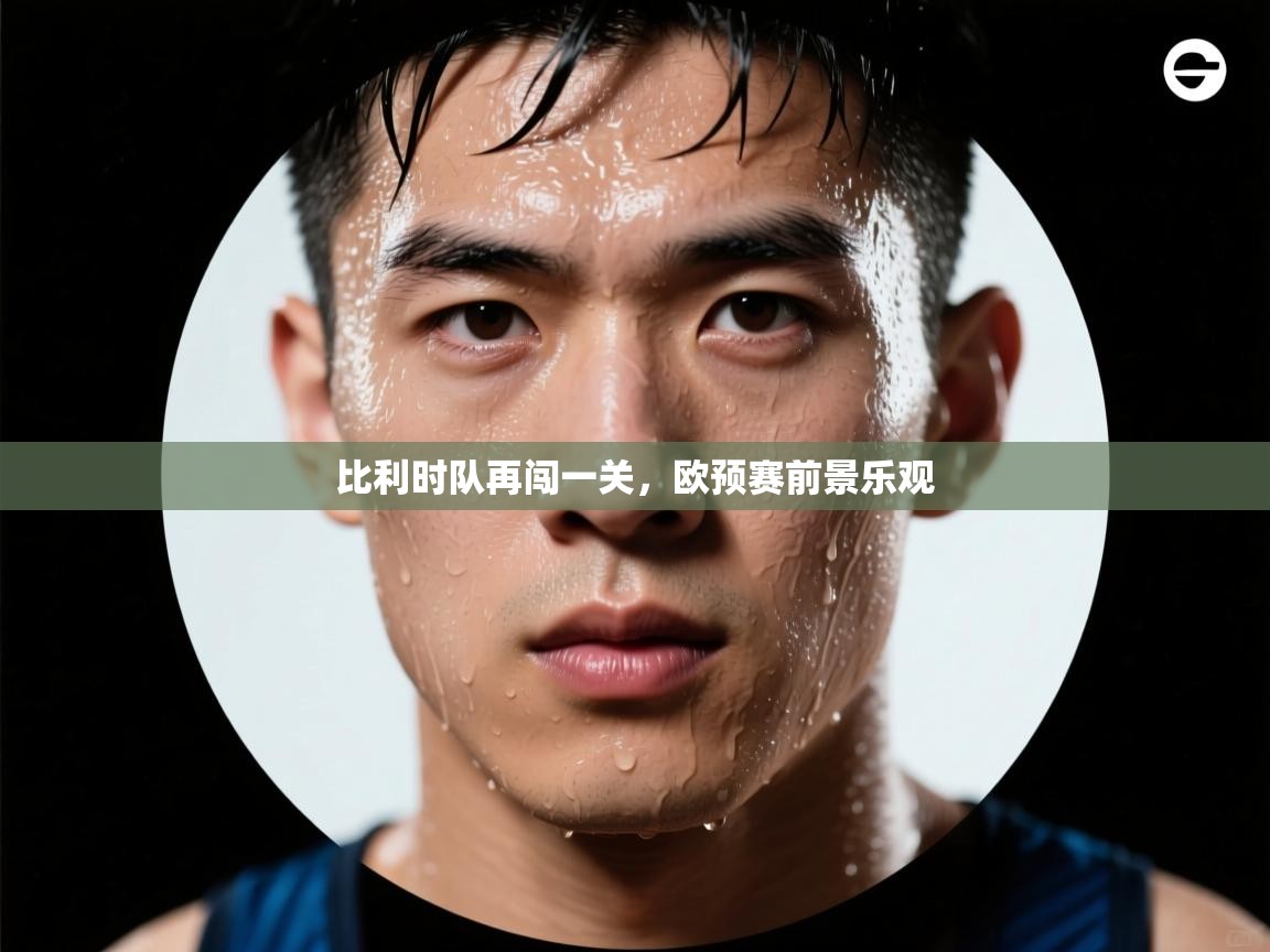 比利时队再闯一关,欧预赛前景乐观 第2张