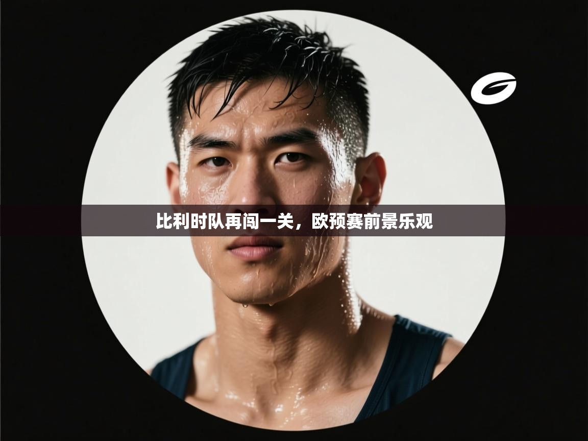 比利时队再闯一关,欧预赛前景乐观 第1张