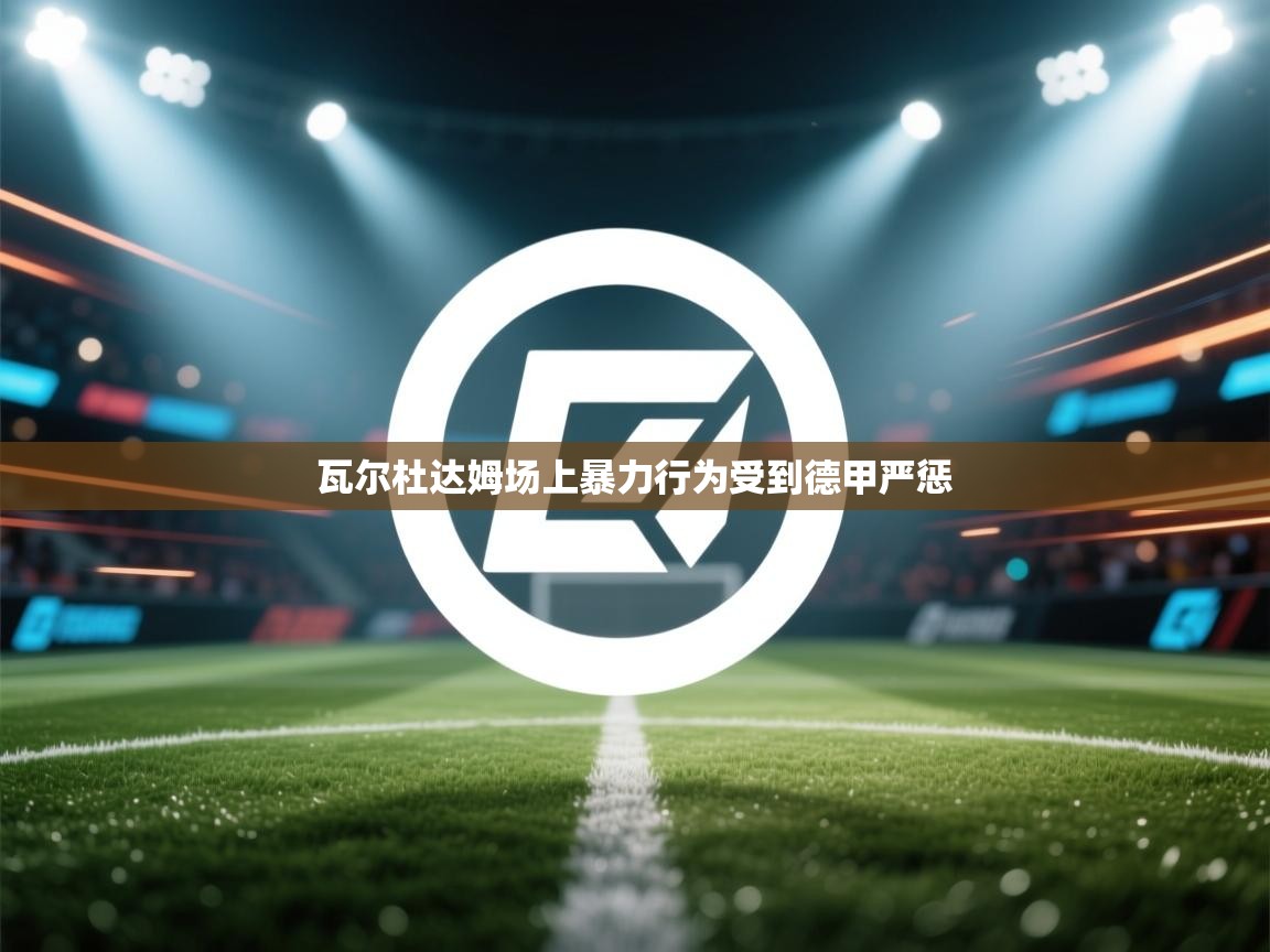 瓦尔杜达姆场上暴力行为受到德甲严惩  第2张