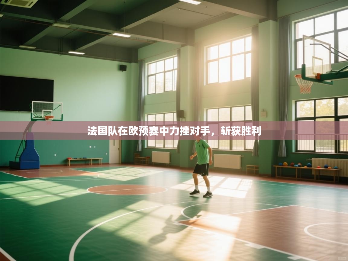 法国队在欧预赛中力挫对手，斩获胜利  第1张