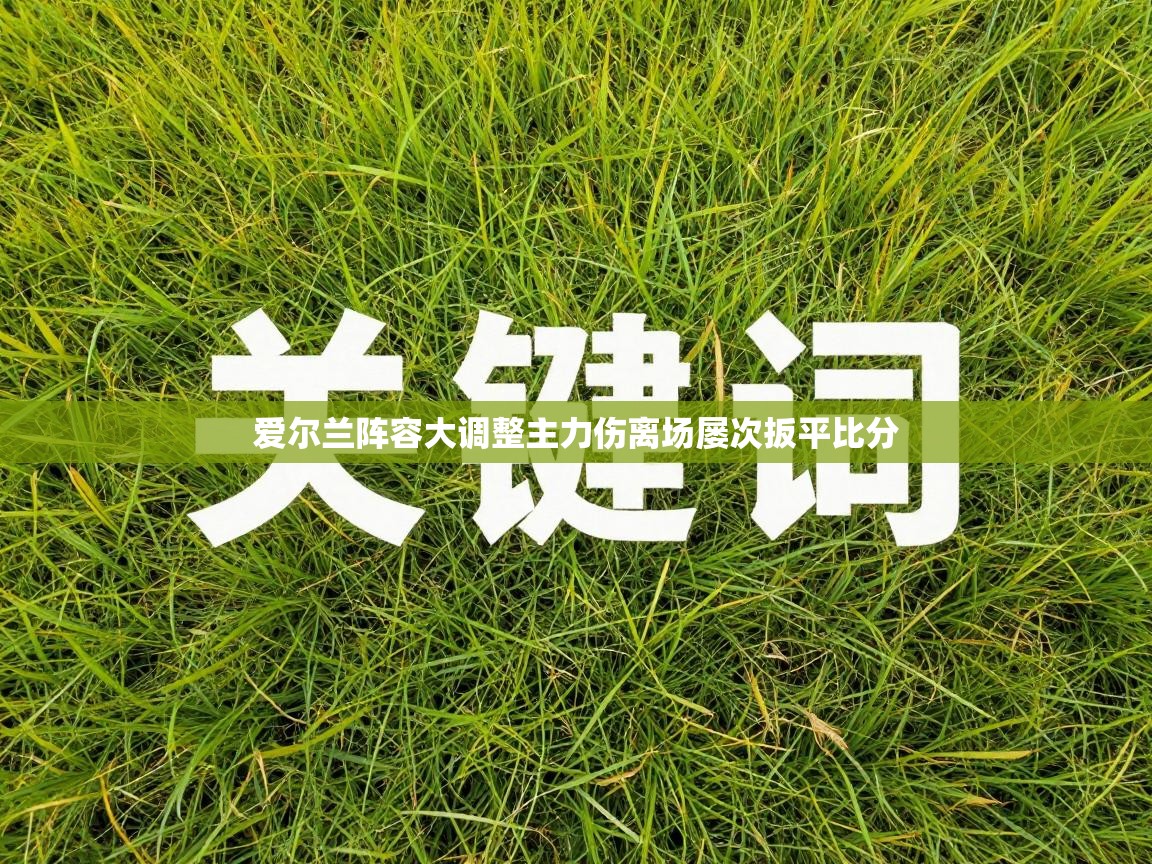 爱尔兰阵容大调整主力伤离场屡次扳平比分  第2张