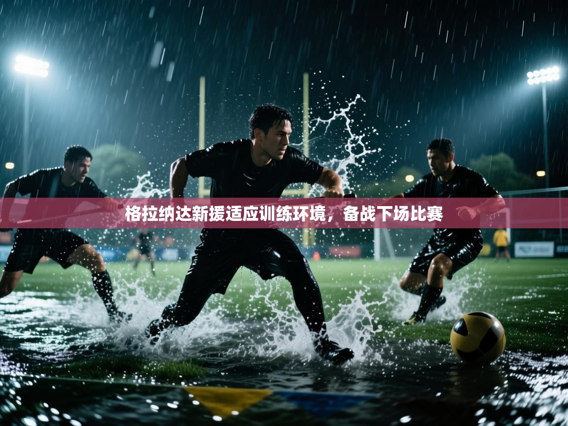 格拉纳达新援适应训练环境,备战下场比赛 第1张