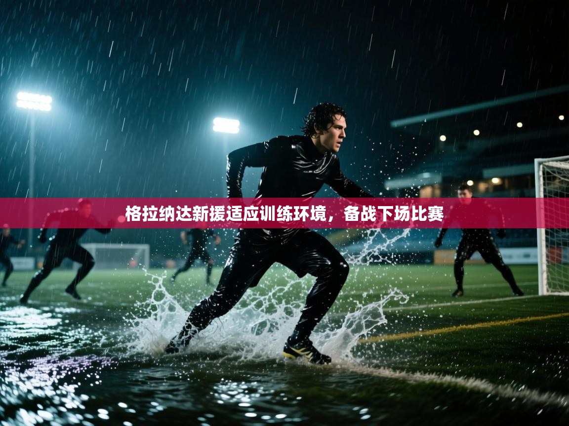 格拉纳达新援适应训练环境，备战下场比赛  第2张