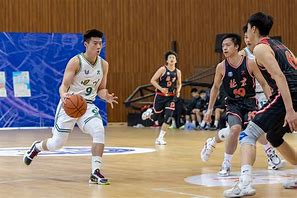 半岛体育登录入口-关于青年新星闪亮登场，夺目争金！的信息